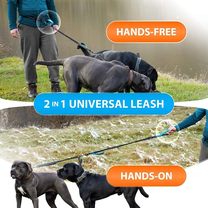 SparklyPets - Hands Free Dog Leash with Reflective Stitches - Waist Leash for Medium & Large Dogs Walking, Hiking, Training, Jogging, Canicross, Running - Image 6