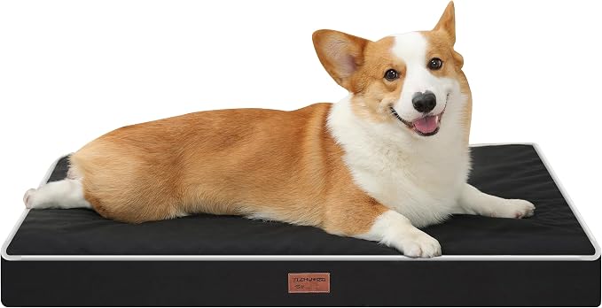 Black 36''x27''x3 Medium L Orthopedic Dog Bed | Soft, Waterproof, Egg Foam, Pet Crate Beds Mat, Kennel Pads, Removable Washable Cover,Non-Slip Bottom,Anti-slip oxford fabric by YIZHUOPET