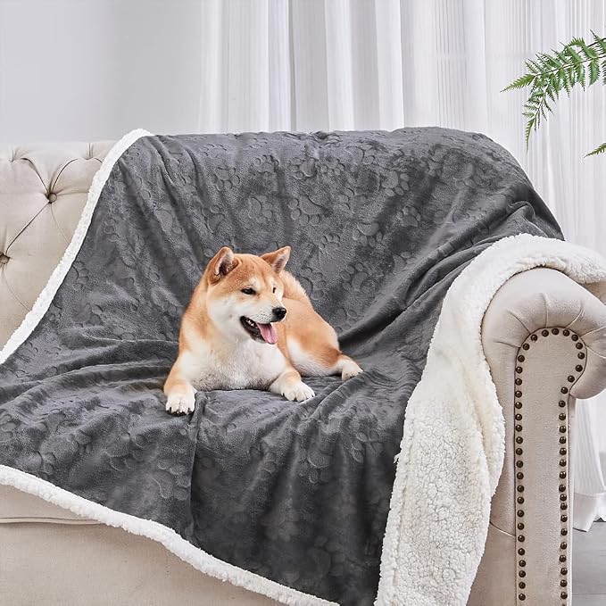 Qeils Dog Blankets for Small Dogs - Waterproof Cat Blanket Washable - Sherpa Fleece Puppy Blanket, Soft Plush Reversible Throw Protector for Bed Couch Car Sofa, 30"X40", Dark Grey - Image 2