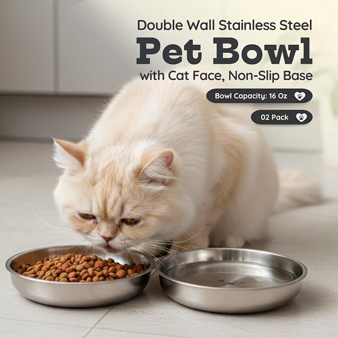 Stainless Steel Cat Food Bowl, 16 oz / 2 Cup Each, Heavy Duty Double Wall Insulated, Shallow Whisker-Friendly Design, Non-Slip Flat Base Dish for Cats & Kittens, D/W Safe (Pack of 2) - Image 6