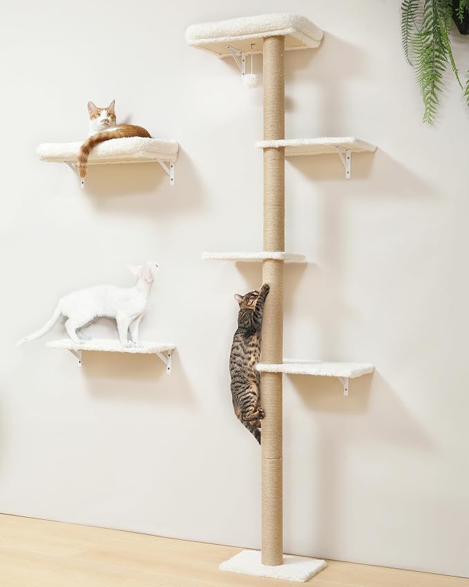FUKUMARU Cat Wall Shelves Set, 70 inch Wall Mounted Tree, Beige | Kitten Scratching Post with Soft Cushion Perch, Space Saving Climbing Wall Furniture for 16 Inch Drywall by FUKUMARU