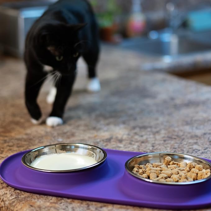Messy Cats Double Silicone Feeder, Stainless Bowls, 1.75 Cup, Grey | Non-Slip Silicone Double Cat Feeder With Two Removable Stainless Steel Saucer Bowls For Food And Water - Image 7