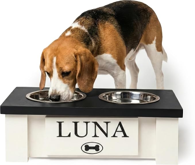 Elevated Dog Bowls for Small Dogs, Personalized Food Stand for Toy Breed | Farmhouse Style, Elevated Wood Stand, Storage Container, Stainless Steel Bowls, Raised Anti-Slip Feeder, Made in USA by GrooveThisWoodshop