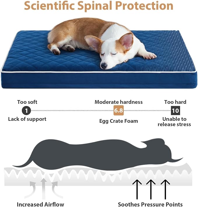 WNPETHOME Orthopedic Giant Human Dog Beds for Adult & Dog Cozy Sleep | Human Washable Waterproof Dogs Bed with Removable Cover, Multi-Needle Quilting Dogs Crate Bed for Relax , Blue 61x43 Inch - Image 3