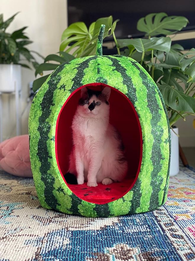 YML Watermelon Pet Bed - Cute Calming Fruit Bed with Removable Cushion for Dogs, Indoor Cats, Rabbits, Small Animals - 20 Inch, Green, Red - Image 7