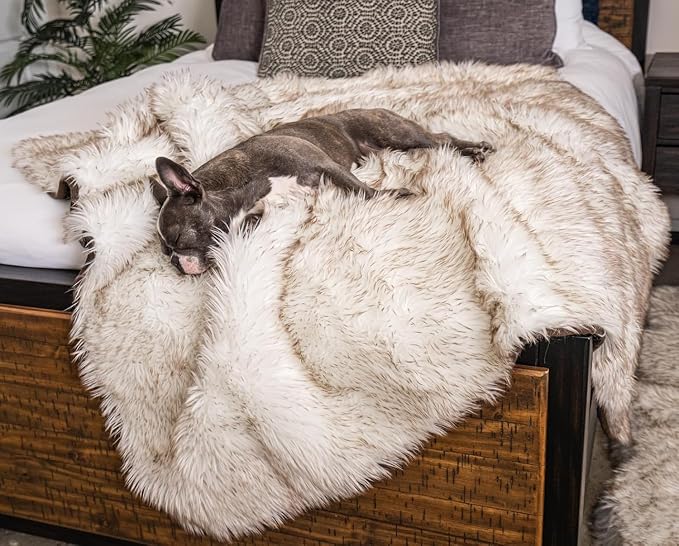 PupProtector Waterproof Throw Blanket for Dogs and Cats, Pet Blanket Cover for Couches, Sofas, Beds, Car Seats, Furniture, Calming Soft Faux Fur, White with Brown Accents, Large (80" L x 62" W) by PAWBRANDS