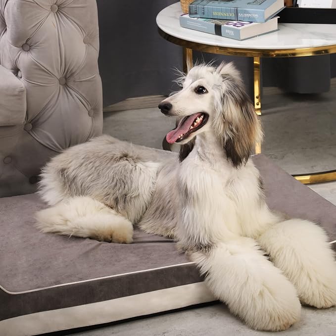 Laifug Orthopedic Dog Beds for Large Dogs,4.5" Memory Foam Dog Beds,Durable Water Proof Liner Removable and Washable, Nonskid Bottom, Grey 46"x28"x8" - Image 8