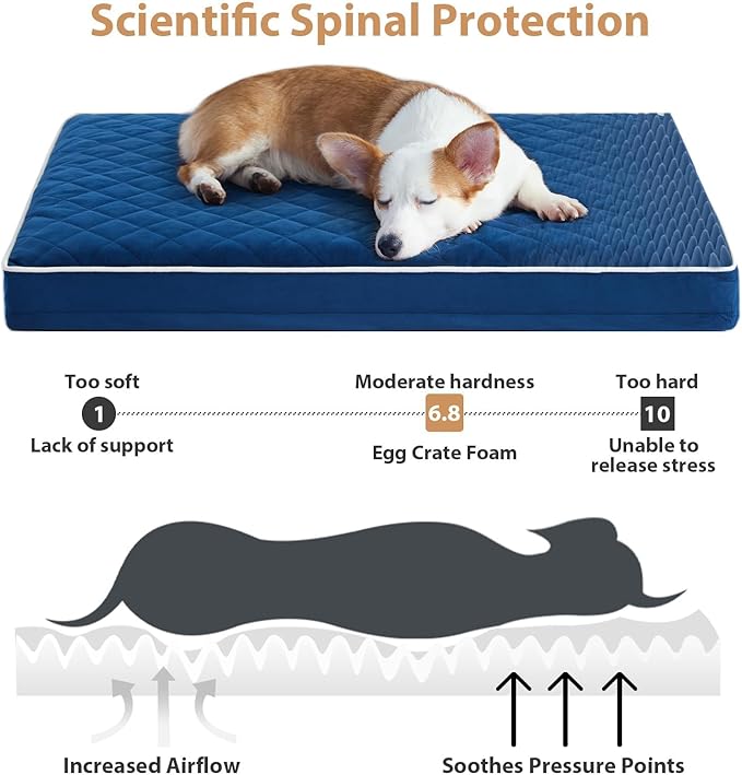WNPETHOME Orthopedic XXL Dog Beds for Large Senior Dog Bed Comfy Sleeping | XXL Washable Waterproof Dogs Bed with Removable Cover, Multi-Needle Quilting Dogs Crate Bed for Relax , Blue 55x42 Inch - Image 3
