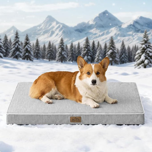 COZY KISS Cooling Orthopedic Dog Bed, Q-Max >0.5 Waterproof Egg Crate Foam Pet Bed, Removable Washable Cover, Non-Slip Dog Crate Bed, 36x27x3 Inch,Silver Grey by COZYKISS