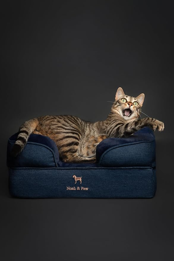 NOAH & PAW Small Dog Bed, 20x15x8 Inch, Cat Bed for Indoor Cats, Orthopedic Eggshell Memory Foam Infused with Cooling Gel, Water Resistant Inner Cover Machine Washable (Denim Collection) - Image 7