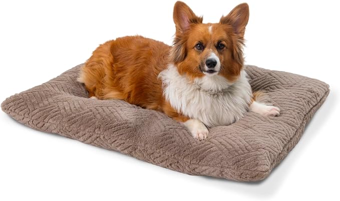 Best Friends by Sheri Comfy Crate Sleeper Mat – Plush Low-Pile Dog Bed, 36" x 24", Large & XL Crates, Up to 70 lb Dogs, Machine Washable, Cross Section Pattern, Mushroom by BestFriendsbySheri