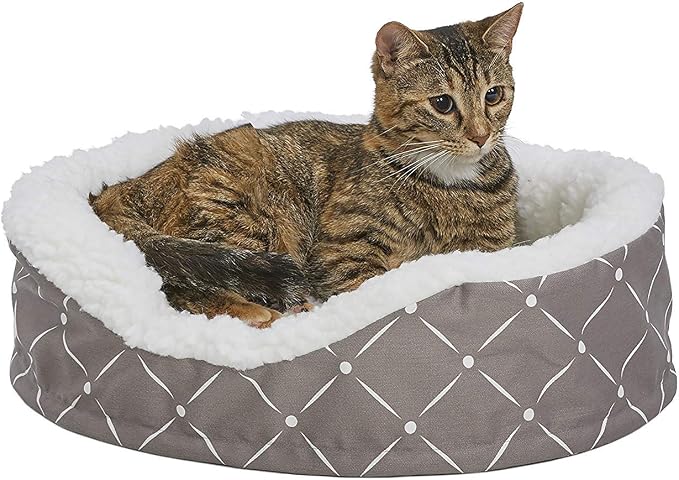 MidWest Homes for Pets CU20MRD Couture Orthopedic Cradle Pet Bed for Dogs & Cats, X-Small by MidWestHomesForPets