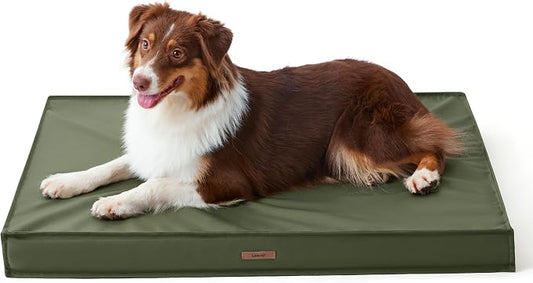 LE SURE Outdoor Waterproof Dog Beds Medium Size,Orthopedic Pet Mat,30x20In | Crate Pad for Dogs with Oxford Fabric Surface,Removable Washable Cover,Egg Foam Kennel Pads,Non slip Bottom,Green by Lesure
