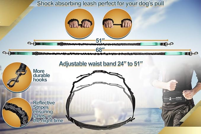SparklyPets Hands Free Dog Leash for Medium and Large Breeds – Professional Harness with Reflective Stitches for Training, Walking, Jogging and Running Your Pet (Premium Teal, for 1 Dog) - Image 6