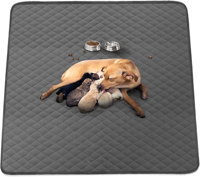 Washable Reusable Dog Pee Pads, 48"x65" Absorbent & Waterproof Puppy Training Pad for Crate, Playpen & Carpet, Large Potty Pads for Dogs, Cats & Small Pets by CooShields