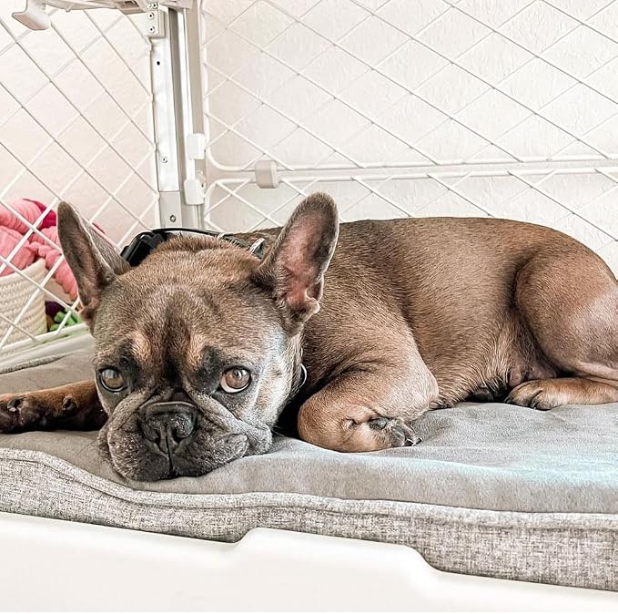 Diggs Snooz Memory Foam Dog Bed - Ideally Sized Revol Dog Crate Pad - Premium Orthopedic Pet Bed for Crate or Home - Grey, Small - Image 4