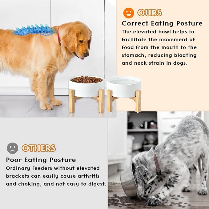 SPUNKYJUNKY Ceramic Elevated Dog Bowls 2 Pack - 6.1inch Raised Dog Bowls with Non-Slip Wooden Stand for Medium Dogs Dishwasher Safe(White,28.7OZ*2) - Image 3