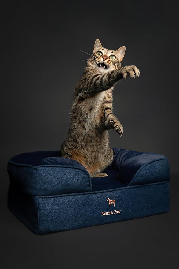 NOAH & PAW Small Dog Bed, 20x15x8 Inch, Cat Bed for Indoor Cats, Orthopedic Eggshell Memory Foam Infused with Cooling Gel, Water Resistant Inner Cover Machine Washable (Denim Collection) - Image 6
