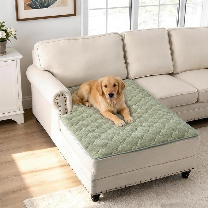 H.VERSAILTEX Couch Cover Chenille Pet Fuzzy Sofa Covers for 2 Cushion Couch and Chaise Anti Slip Washable Sofa Slipcovers Soft Couch Protector Cover for Dogs Cats Kids(40" x 50", Tender Green) by HVERSAILTEX