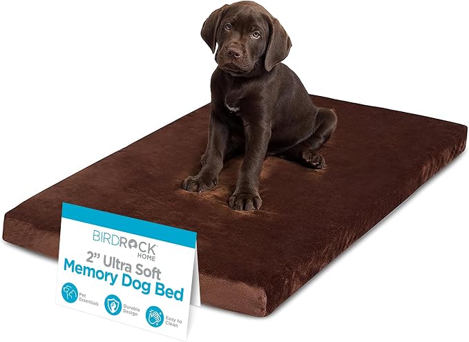 BIRDROCK HOME 2" Memory Foam Dog Bed | Ultra Soft Plush Pet Bed | Removable Cover | Pet | Crate Bed (34 x 22, Brown) by BIRDROCKHOME