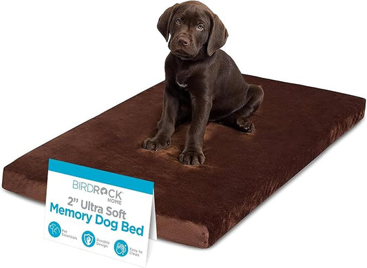 BIRDROCK HOME 2" Memory Foam Dog Bed | Ultra Soft Plush Pet Bed | Removable Cover | Pet | Crate Bed (34 x 22, Brown) by BIRDROCKHOME