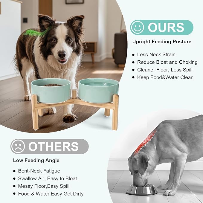 SPUNKYJUNKY Elevated Dog Bowls Ceramic, 7.3'' Dogs Food Water Bowls Raised with Non-Slip Bamboo Stand for Medium to Large Sized Breed Microwave Dishwasher Safe - 42 OZ,Light Green - Image 3