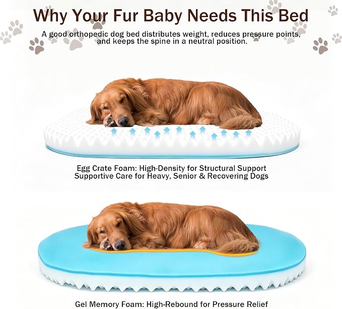 Large Dog Bed Washable with Cover Orthopedic Dog Beds Large Sized Dog with Memory and Egg Crate Foam Waterproof Pet Bed Includes Reusable Potty Pad (Beige, Large) - Image 6