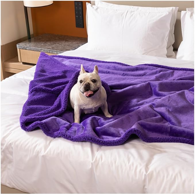 Purple King Size Bed Covers Waterproof Sherpa Fleece Pet Blankets for Big Dogs 85x85in Reversible Leakproof Blanket Beds Couches Cover Fluffy Cozy Warm Sofa Mat-Purple,XXL-85x85in by Unknown
