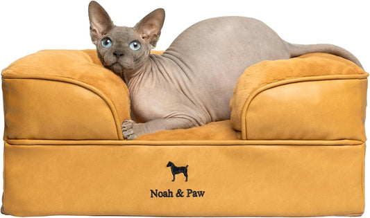 NOAH & PAW Small Dog Bed, 20x15x8 Inch, Cat Bed for Indoor Cats, Orthopedic Eggshell Memory Foam Infused with Cooling Gel, Water Resistant Inner Cover Machine Washable (Faux Leather) by NoahPaw