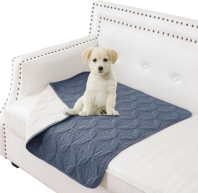 Waterproof Couch Cover for Dogs - Washable Pets Furniture Protector | TPU Leak-Proof Liner, Lightweight & Reversible, Fits Chair, Sofa, Bed, 30" x 30" , Blue/Cream by TuffeelHome