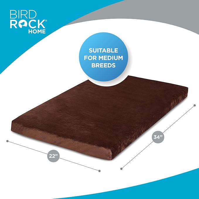 BIRDROCK HOME 2" Memory Foam Dog Bed | Ultra Soft Plush Pet Bed | Removable Cover | Pet | Crate Bed (34 x 22, Brown) - Image 3