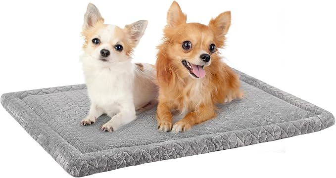 BEAUTYZOO Washable Dog Crate Pad for Small Dogs, Ultra Soft Anti-Slip Fleece Pet Mat, Kennel Cage Sleeping Cushion for Travel & Car, Grey 24x18 Inch by BEAUTYZOO