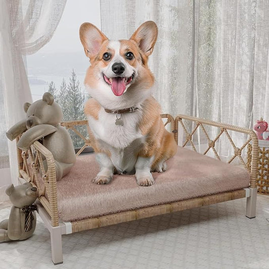 Elevated Waterproof Dog Beds with Egg Crate Foam Support Pet Bed, Outdoor Dog Sofa Bed PE Wicker Orthopedic Pet Couch Bed with Washable Removable Cushion for Medium, Small Dogs, Brown by HLNPTN