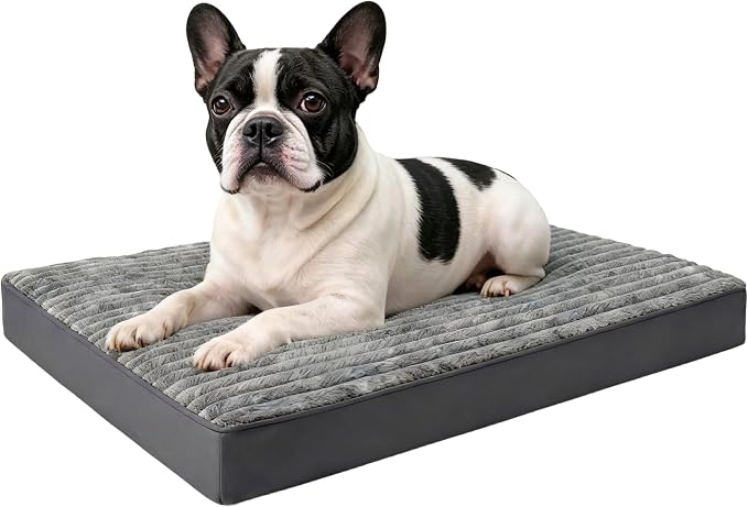 Small Dog Bed Sized Dogs, Orthopedic Flannel Pet Bed with Removable Washable Cover, Waterproof Indestructible Puppy Dog Cot Bed with Anti-Slip Bottom, Egg Crate Memory Foam Pad, 23.0"x17.0"x3.0", Grey by Unknown