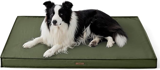 LE SURE Outdoor Waterproof Dog Beds Large Sized,Orthopedic Pet Mat,35x22In | Crate Pad for Dogs with Oxford Fabric Surface,Removable Washable Cover,Egg Foam Kennel Pads,Non slip Bottom,Green by Lesure