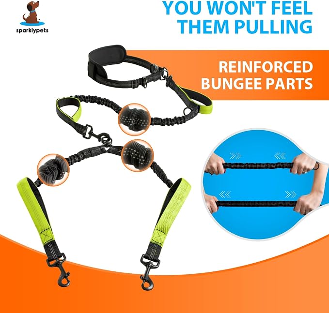 SparklyPets Hands Free Double Dog Leash – Dual Leash for Medium and Large Breeds – Lead for 2 Dogs with Padded Handles, Reflective Stitches, No Pull, Tangle Free - Image 3