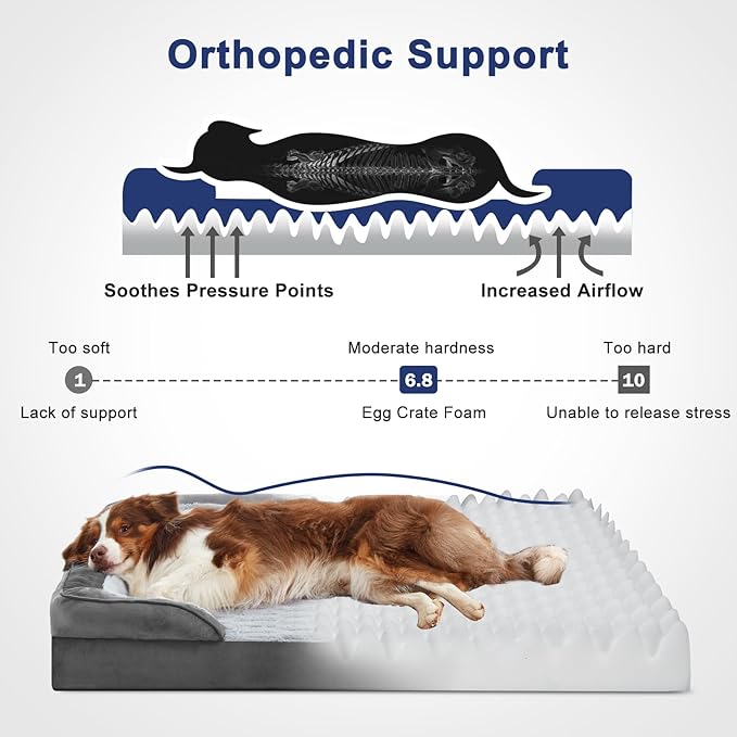 FURTIME Orthopedic Dog Bed for Medium Size Dog, Waterproof Dog Beds, 35x25x6.5 Supportive Foam Pet Couch Bed with Removable Washable Cover and Nonskid Bottom - Image 2