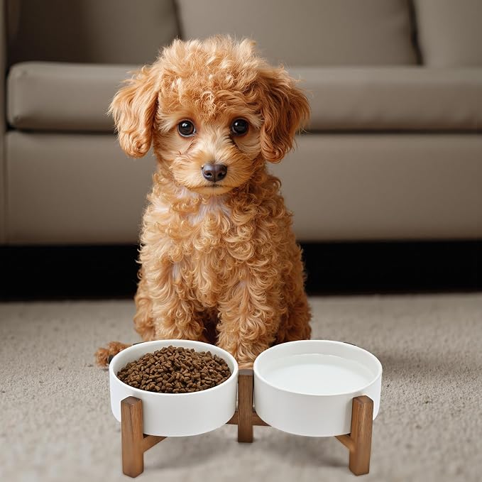 SPUNKYJUNKY Ceramic Dog Bowls with Acacia Wood Stand - Raised Dog Food and Water Bowl Set for Small Dogs (13.52 OZ, White) - Image 7