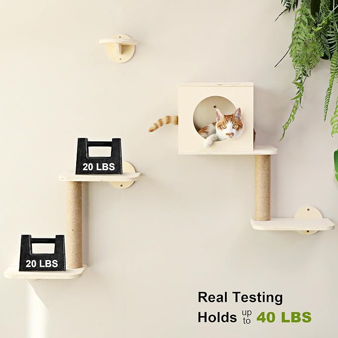 FUKUMARU Cat Wall Shelves, 5 in 1 Set, Beige | Stable Wooden Wall-Mounted Furniture Set, Kitty Climber with Hammock, House, Steps, Scratching Post - Image 6