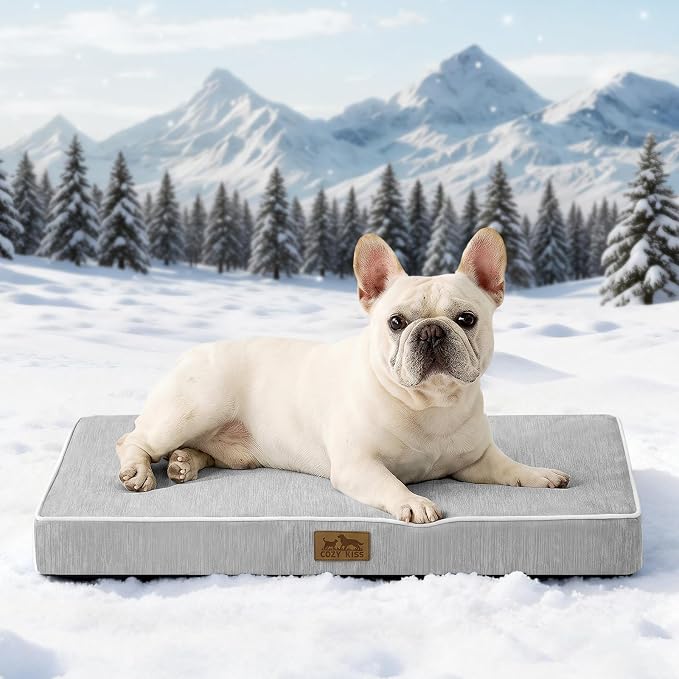 COZY KISS Cooling Orthopedic Dog Bed, Q-Max >0.5 Waterproof Egg Crate Foam Pet Bed with Removable Washable Cover, 29x18x3 Inch,Silver Grey by COZYKISS