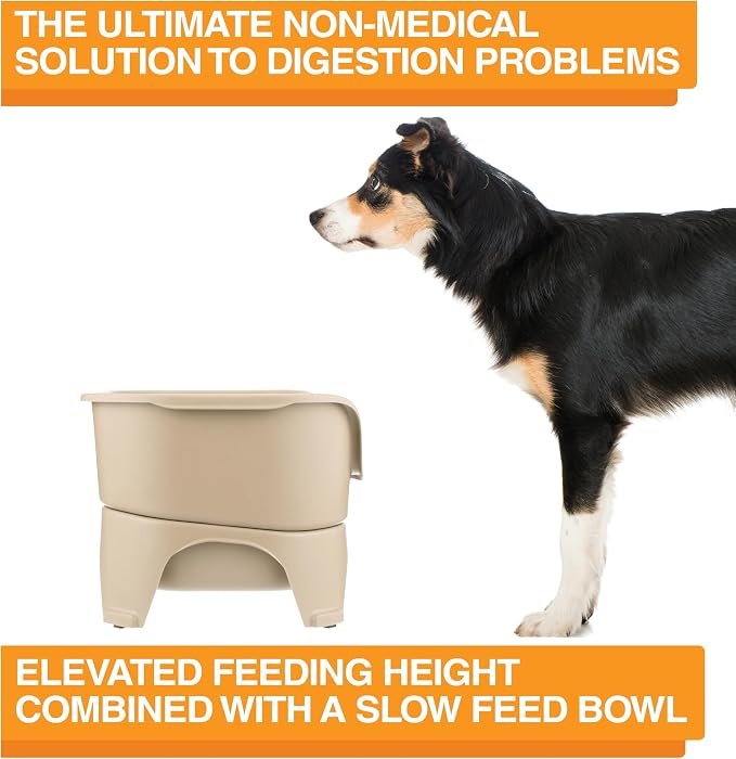 Neater Feeder - Express Model w/ Slow Feed Bowl - Mess-Proof Dog Bowls (M/L, Almond) Made in USA – Elevated, No Spill, Non-Tip, Non-Slip, Raised Stainless Steel Food/Water Pet Bowls Aid Digestion - Image 7