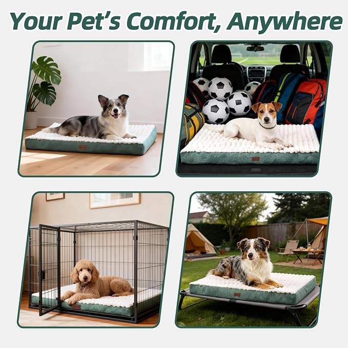 Orthopedic Dog Bed for Small Dogs,Firm Egg Crate Foam,Non-Slip Bottom,Green | Soft Plush Surface,Removable Machine Washable Cover,Ideal for Crates & Small Spaces,Designed for Joint Support,23"x17"x3" - Image 7