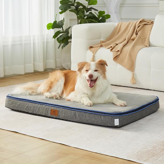 LIORCE Memory Foam XL Dog Bed - 4” Thick Orthopedic Beds for Extra Large Dogs - Waterproof Dog Bed with Removable Washable Cover & Wrap-Around Zipper - Ultimate Comfort and Easy Maintenance by LIORCE