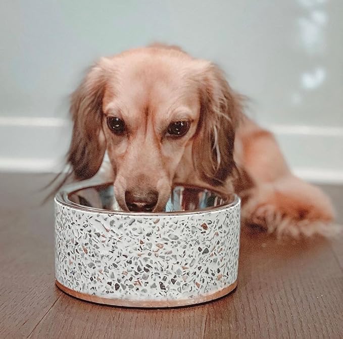 Pet Junkie Terrazzo Single Elevated Pet Bowl Stand, Small, White | Removable Stainless Steel 16oz Inner Bowl, For Small Dog Breed or Cat, Raised Food or Water Station - Image 4
