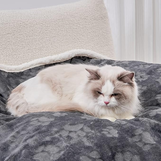 Qeils Pet Blankets for Cats - Waterproof Cat Blanket Washable - Sherpa Fleece Puppy Blanket, Soft Plush Reversible Throw Protector for Bed Couch Car Sofa, 25"X30", Dark Grey by Qeils