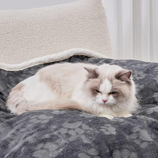 Qeils Pet Blankets for Cats - Waterproof Cat Blanket Washable - Sherpa Fleece Puppy Blanket, Soft Plush Reversible Throw Protector for Bed Couch Car Sofa, 25"X30", Dark Grey by Qeils