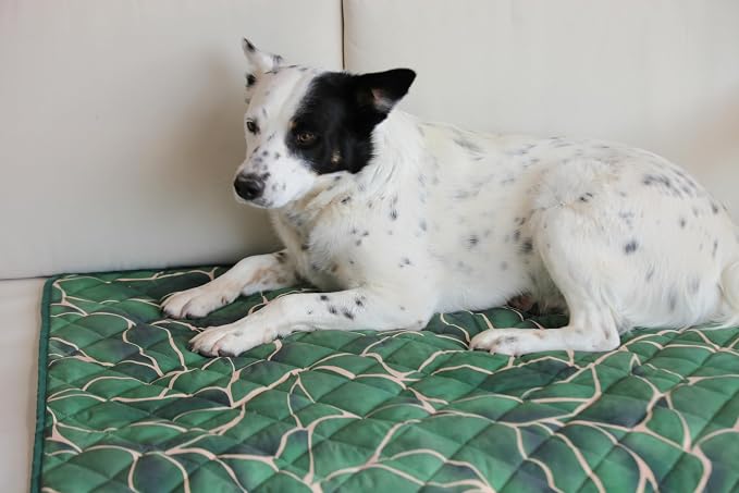 Waterproof Blanket, 29" x 34” - Seat Cover for Dogs and Pets. Ideal for Small and Medium Pet Crate Blankets, Settle mat, Diaper Changing and Playmat for Babies - Image 7