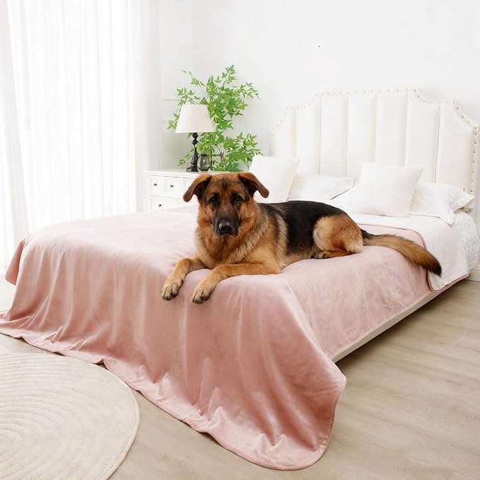 Waterproof Blanket for Dogs - Reversible Furniture Protector | TPU Leak-Proof Liner, Soft Velvet & Flannel Pet Throw, Machine Washable, For Couch and Bed, 82" x 120", Pink/Cream by Secfeeling