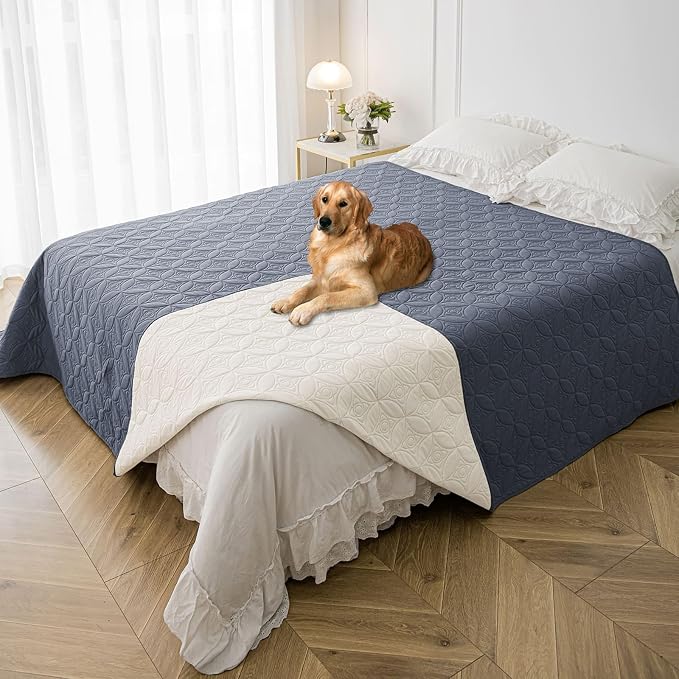 Waterproof Couch Cover for Dogs - Washable Pets Furniture Protector | TPU Leak-Proof Liner, Lightweight & Reversible, Fits Chair, Sofa, Bed, 82" x 82" , Blue/Cream by TuffeelHome