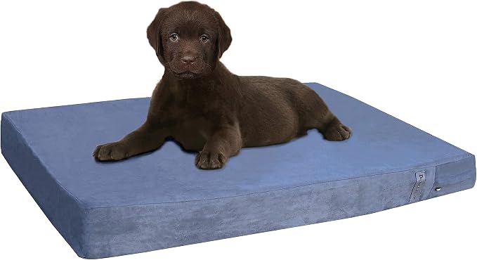 Dogbed4less Orthopedic Gel Memory Foam Pet Dog Bed, Waterproof Liner with External Microsuede Cover and Bonus Antislip Cover (Microsuede Gray, 35"X20"X4" Inches) by Dogbed4less